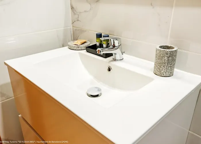 Flateli Pelayo H6 * Barcelona